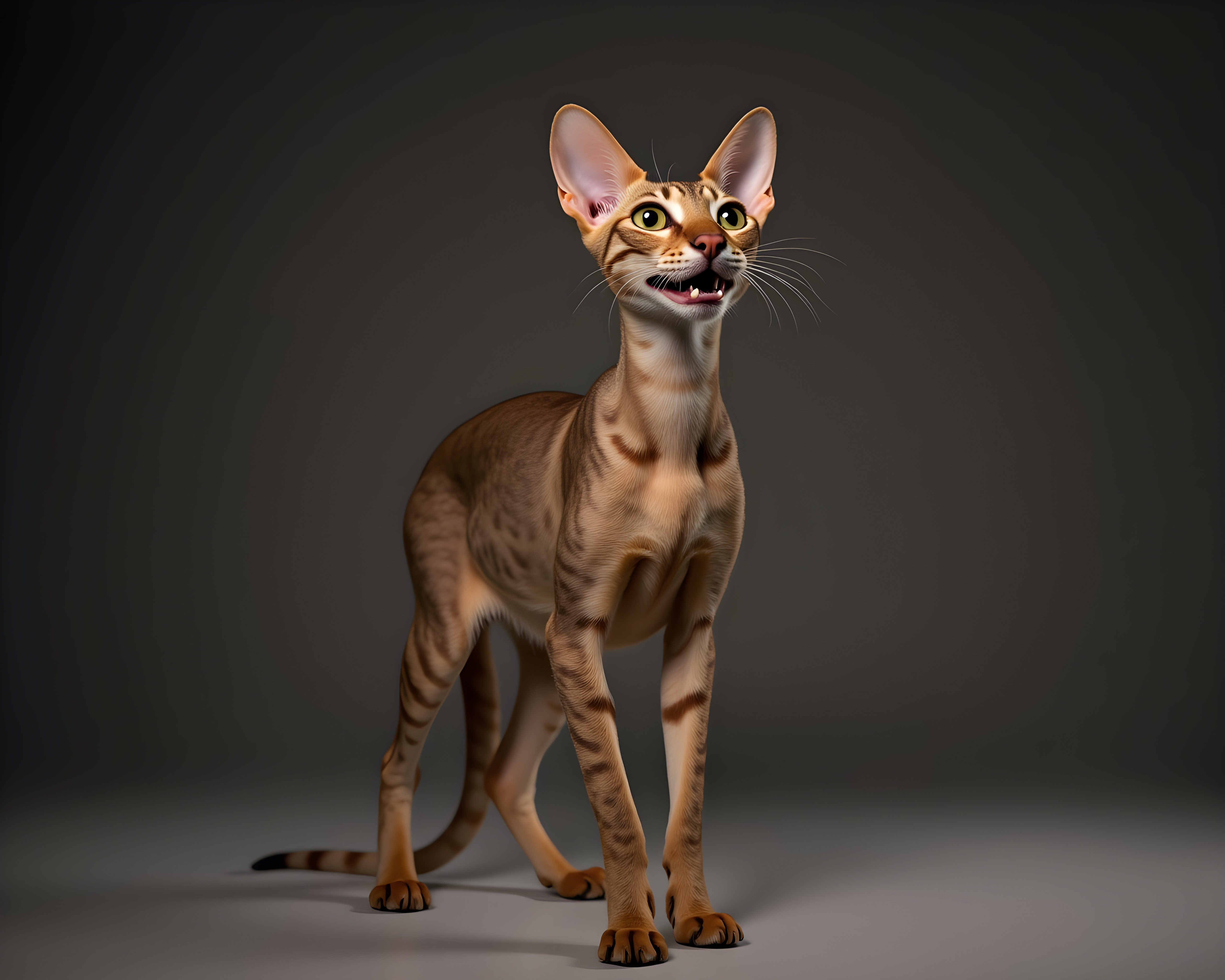 Oriental Shorthair — Realistic (Funny)