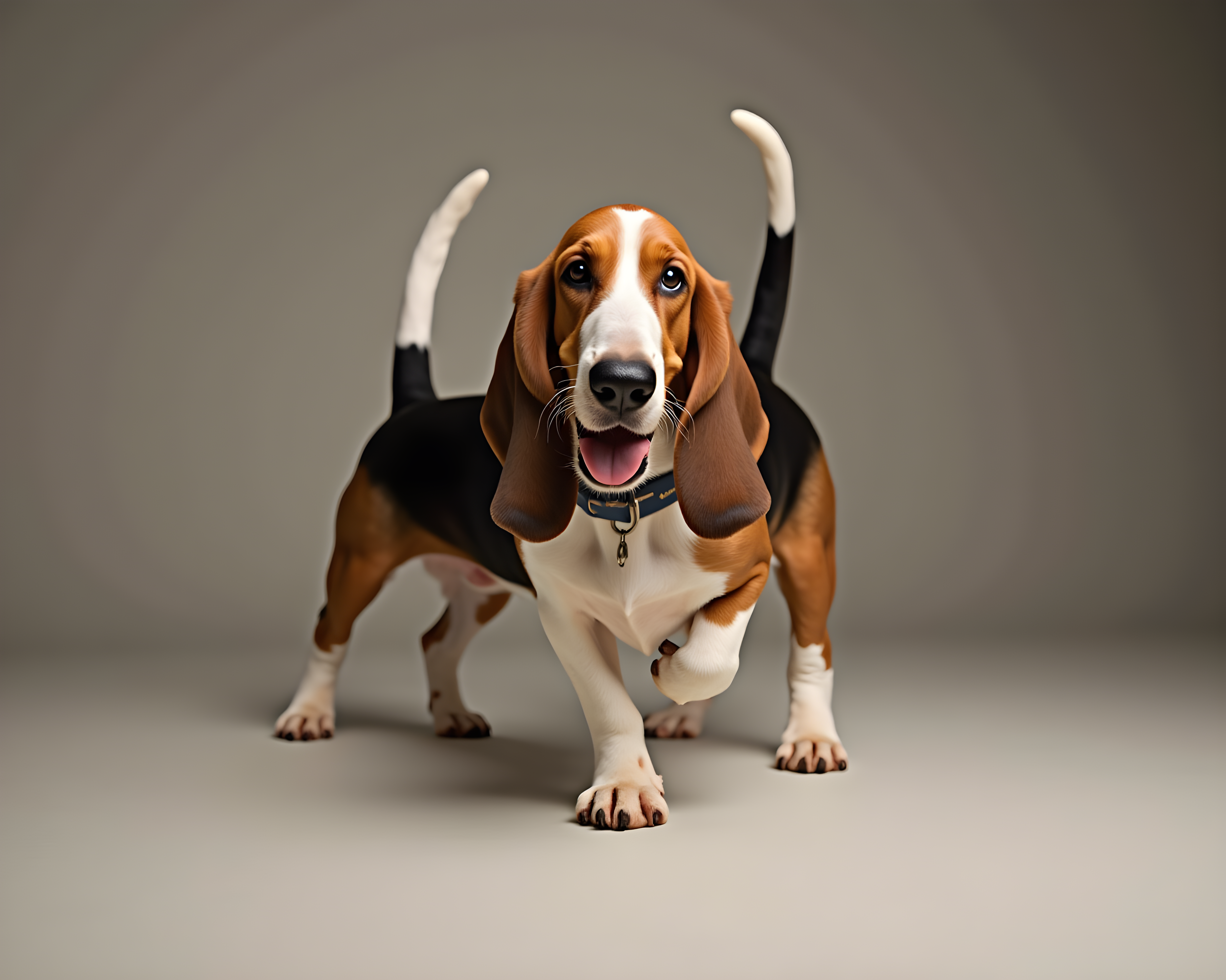 Basset Hound — Realistic (Playful)